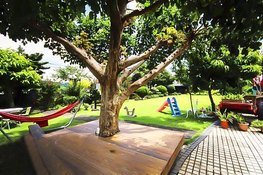 Taichung Xinshe Garden Life Homestay B&B Eksteriør billede