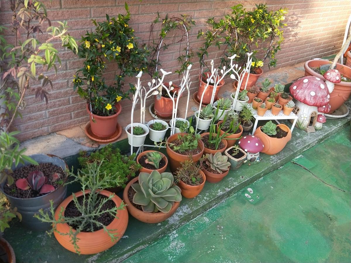 Taichung Xinshe Garden Life Homestay B&B Eksteriør billede